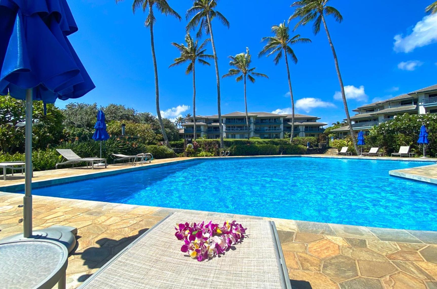 Poipu Sands 513 - Ocean Front Koloa Eksteriør billede