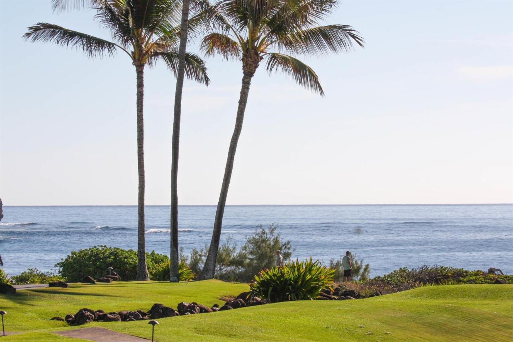 Poipu Sands 513 - Ocean Front Koloa Eksteriør billede