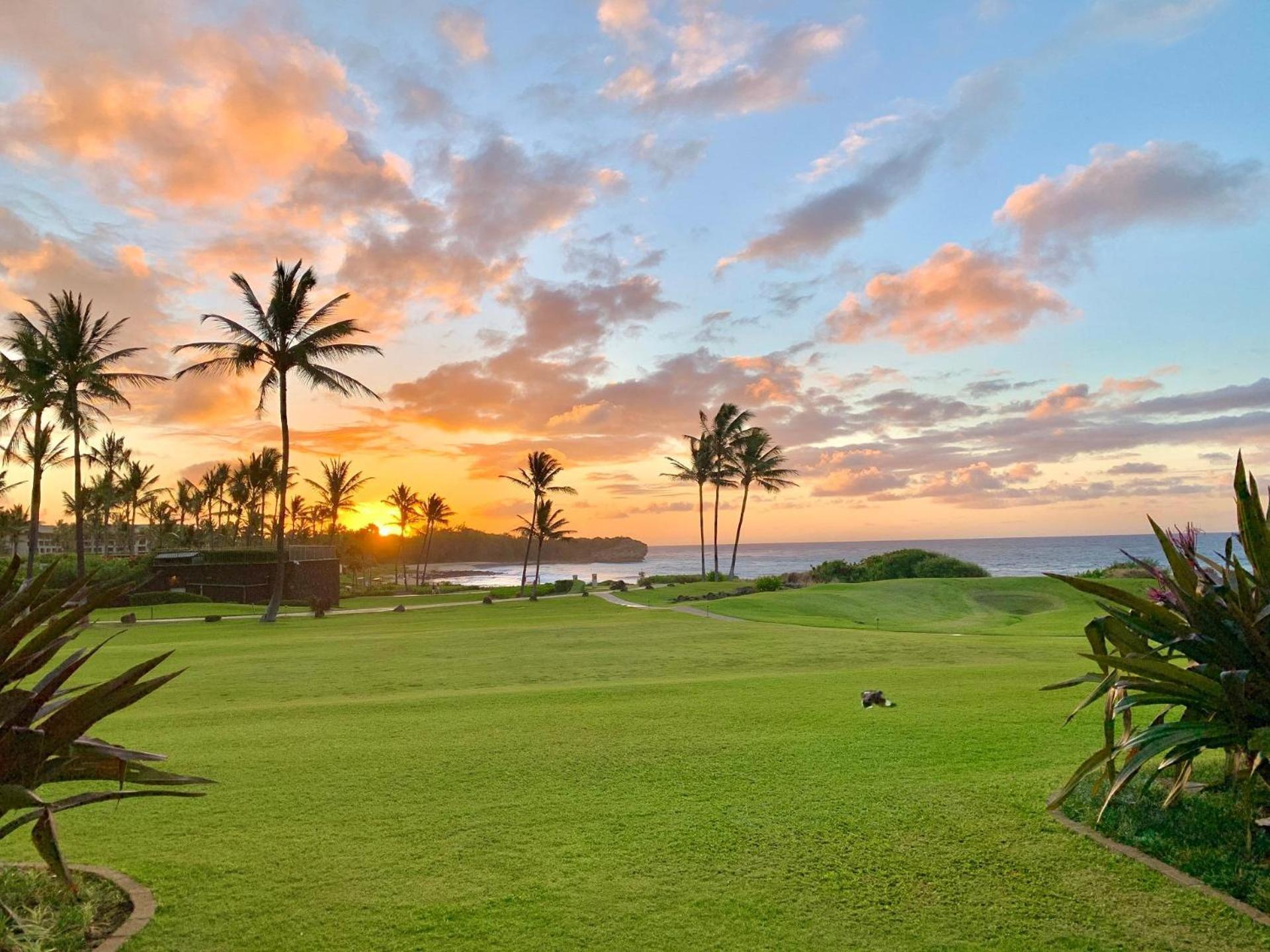 Poipu Sands 513 - Ocean Front Koloa Eksteriør billede