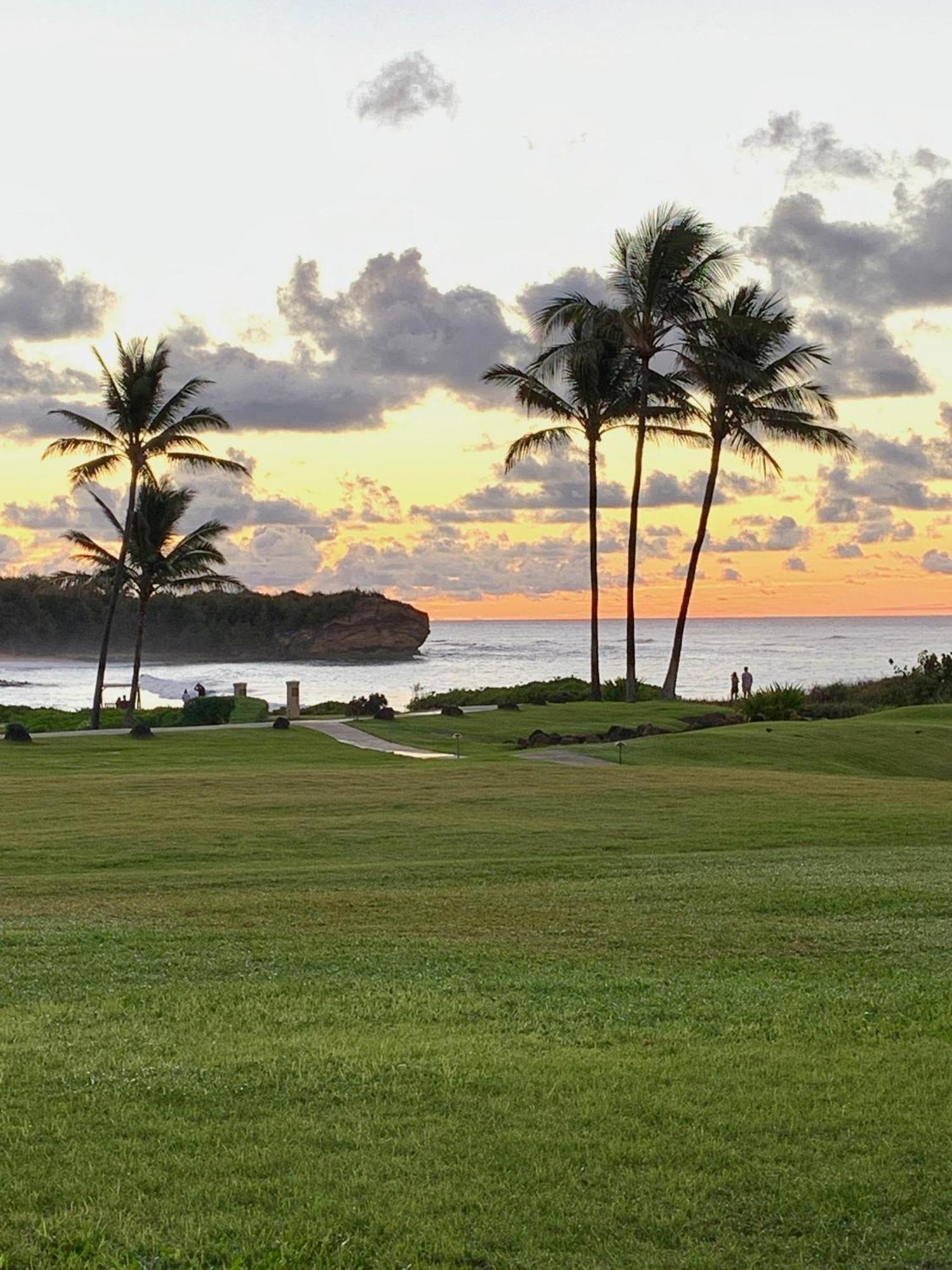 Poipu Sands 513 - Ocean Front Koloa Eksteriør billede